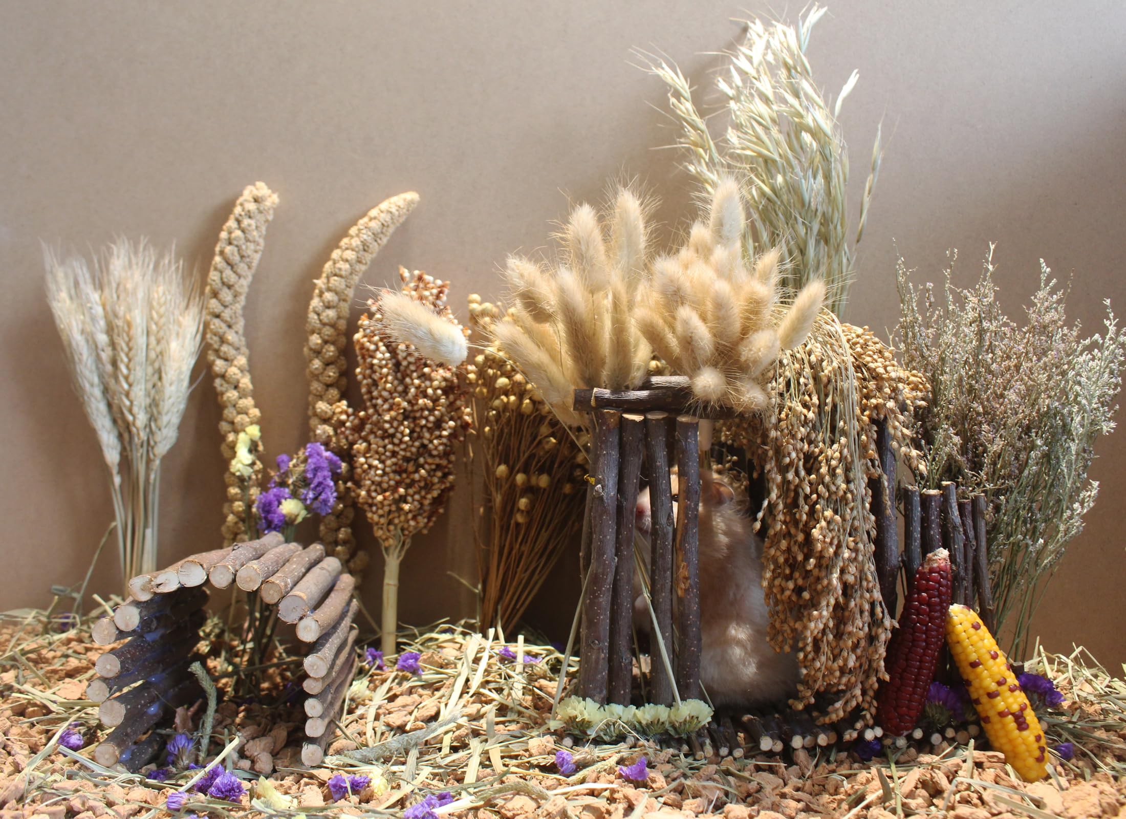 JFWOD Camas Naturales para Hámster Flores Hierbas Ramas - Imagen 7