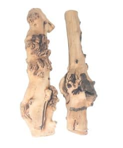 Emours Decoración de Reptiles Rama de Bosque Natural para