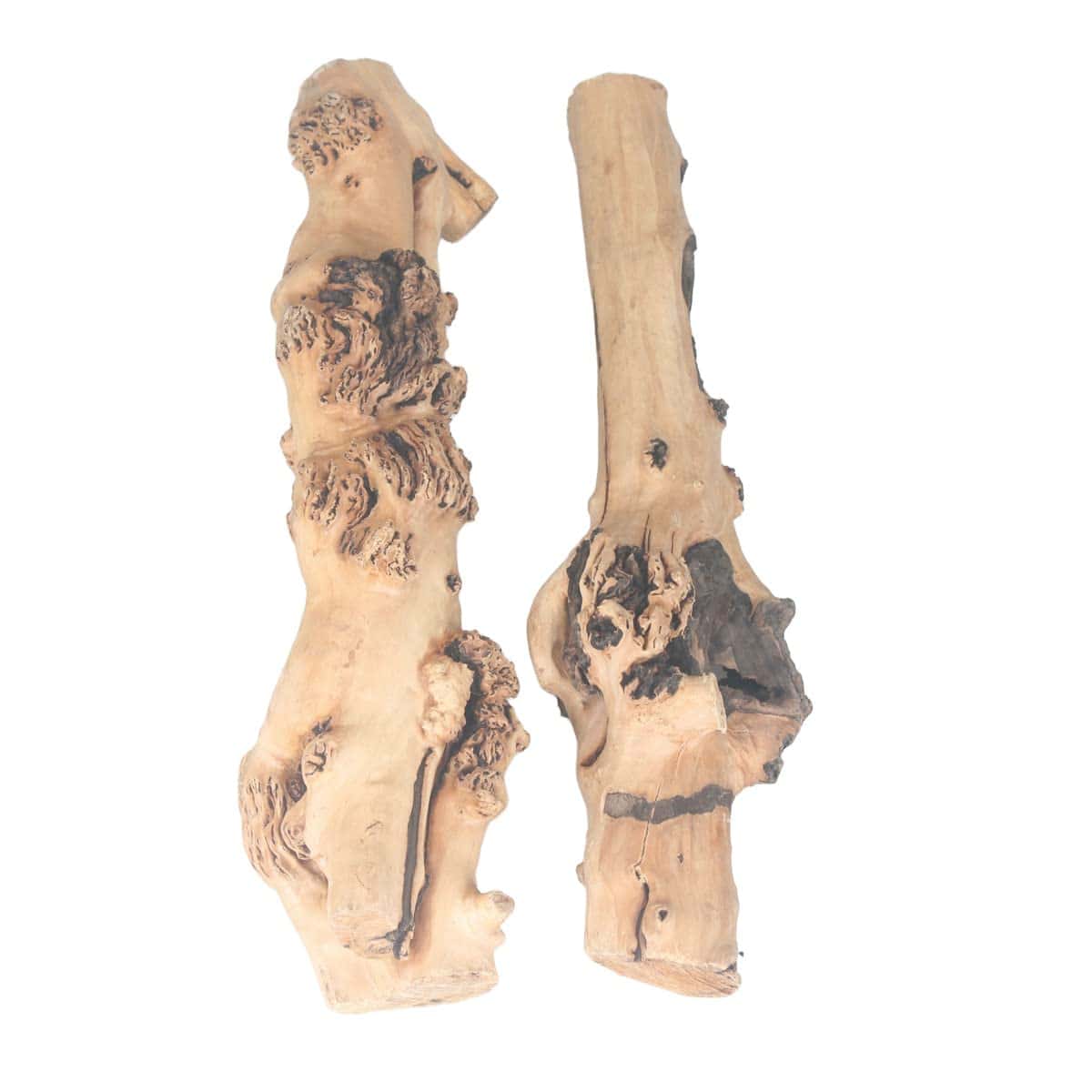 Emours Decoración de Reptiles Rama de Bosque Natural para