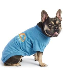Playera para Perro de GF Pet - Estampado Gráfico (Azul