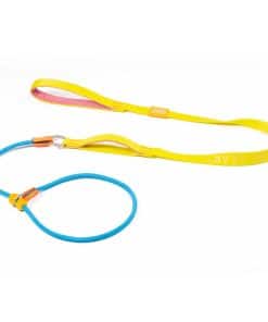 Correa lisa para perros HOWGO, correa de entrenamiento,