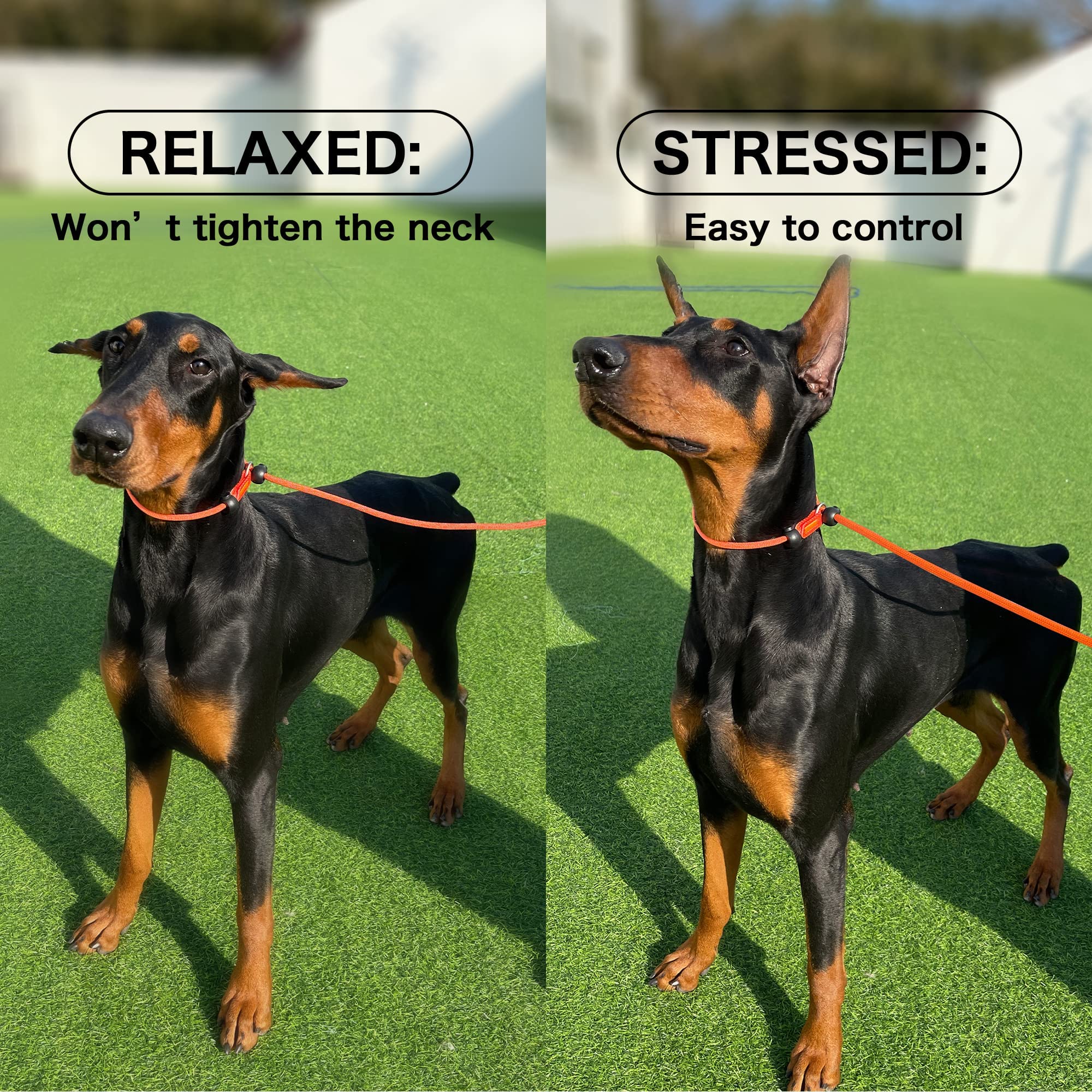 Correa lisa para perros HOWGO, correa de entrenamiento, - Imagen 3