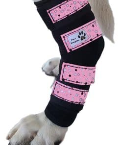 Paw Empire - Par de Soportes para Patas de Perro, Ultra