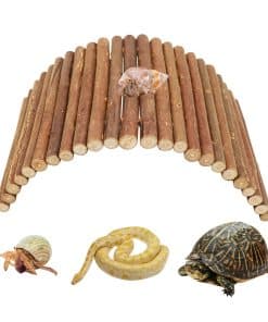 Juguetes para Escalar Cangrejo Ermitaño, Escondite de