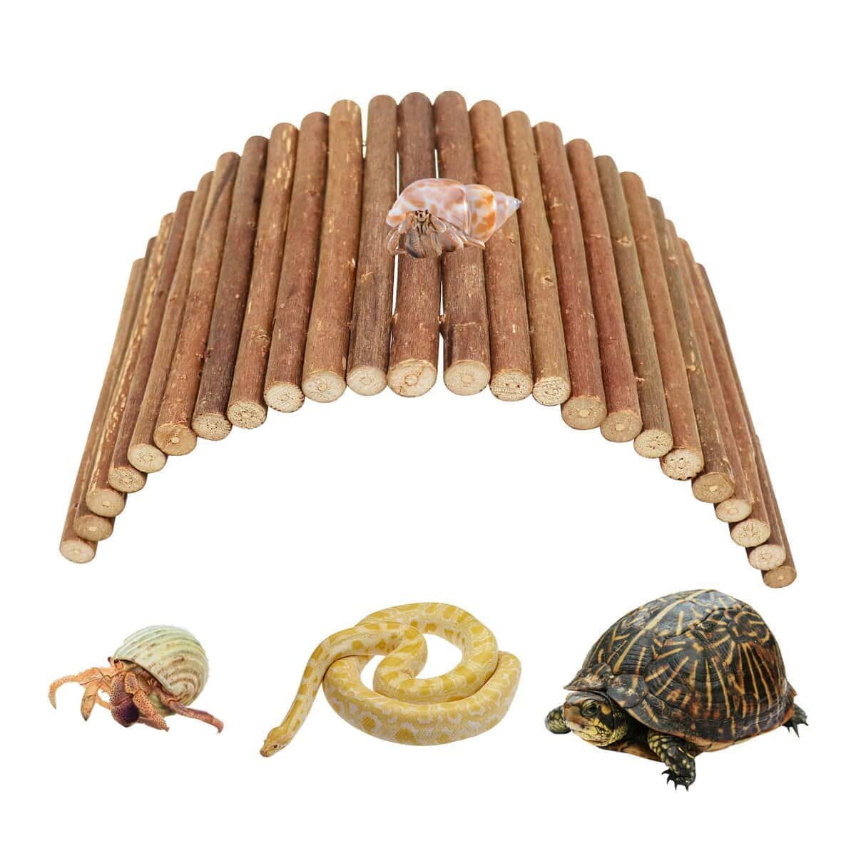 Juguetes para Escalar Cangrejo Ermitaño, Escondite de