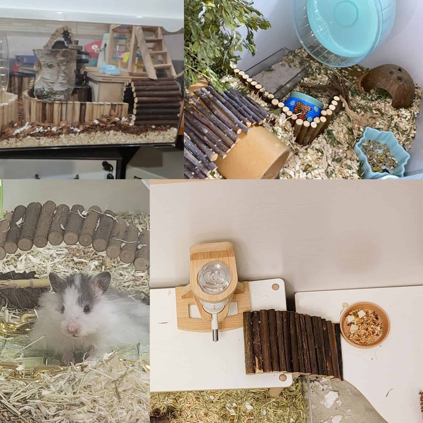 Juguetes para Escalar Cangrejo Ermitaño, Escondite de - Imagen 6