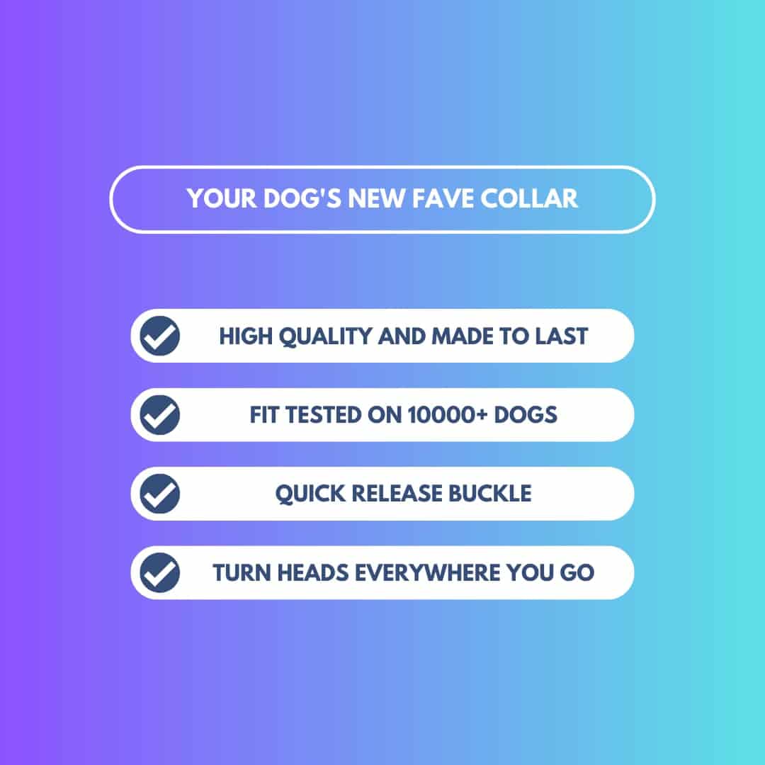 Collar para Perro Táctico Spark Paws - Collar de Calidad - Imagen 7