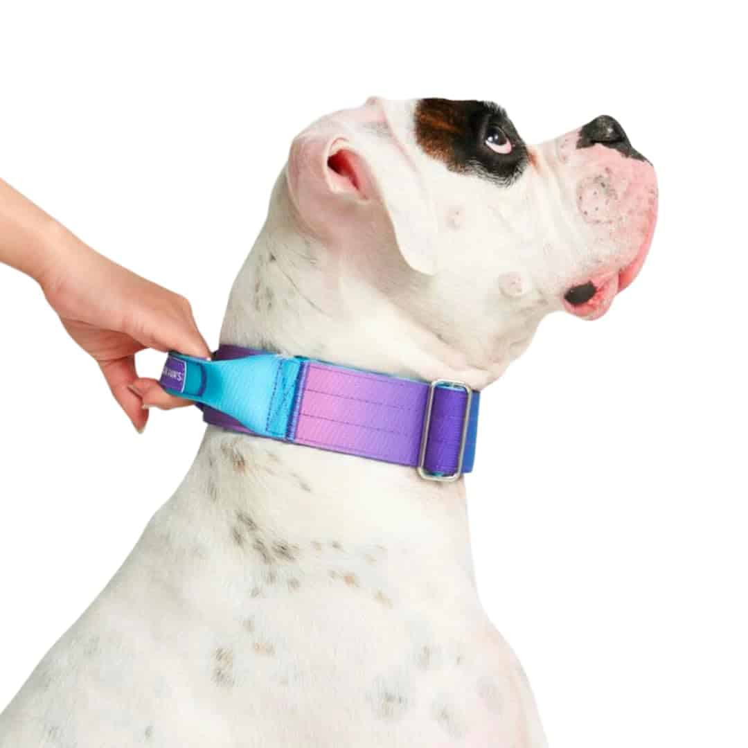 Collar para Perro Táctico Spark Paws - Collar de Calidad - Imagen 4