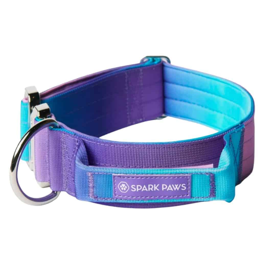 Collar para Perro Táctico Spark Paws - Collar de Calidad
