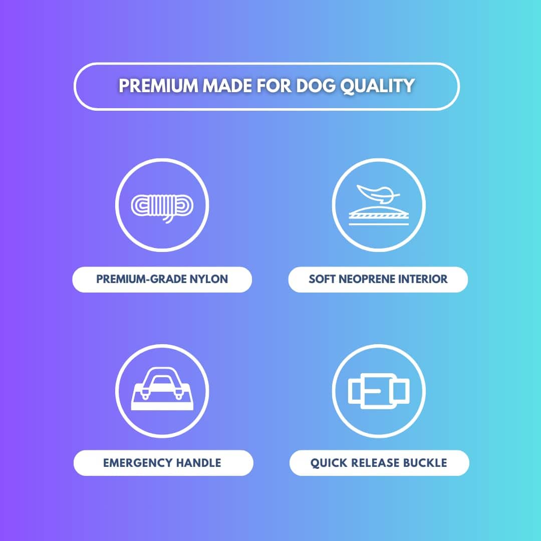 Collar para Perro Táctico Spark Paws - Collar de Calidad - Imagen 6