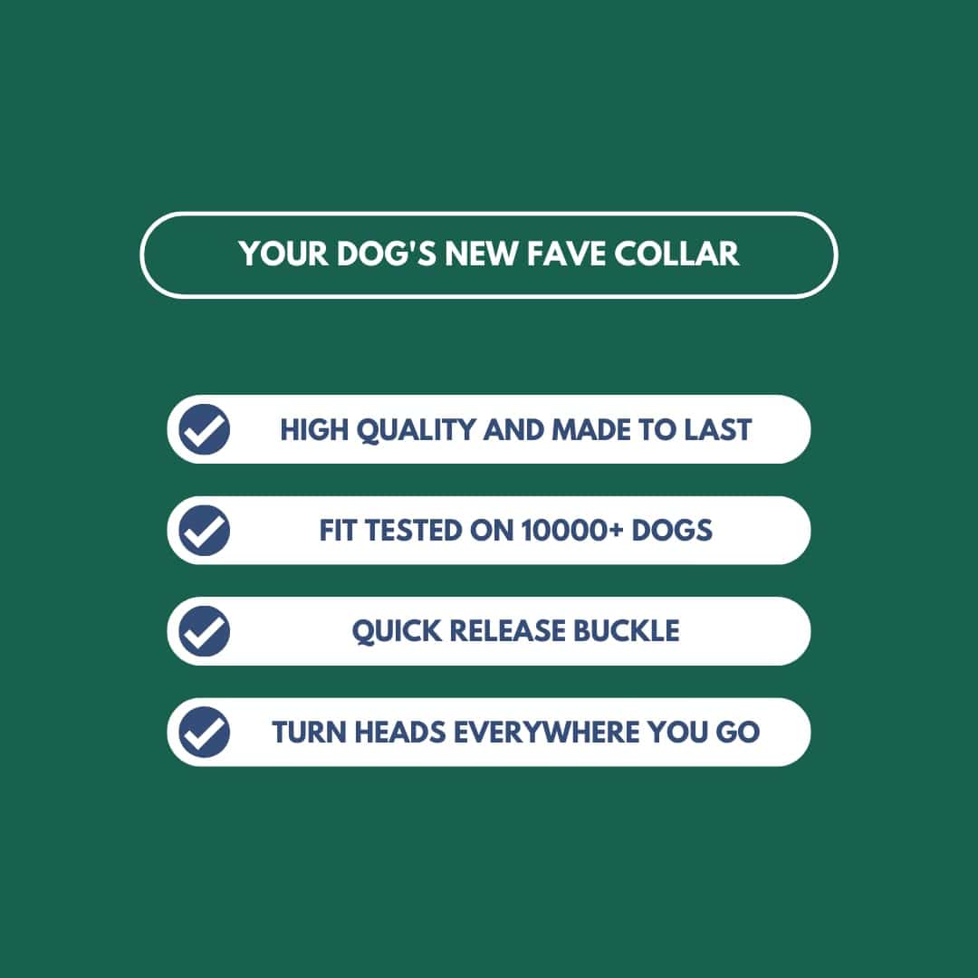 Collar táctico para perros Spark Paws - Collar de calidad - Imagen 7