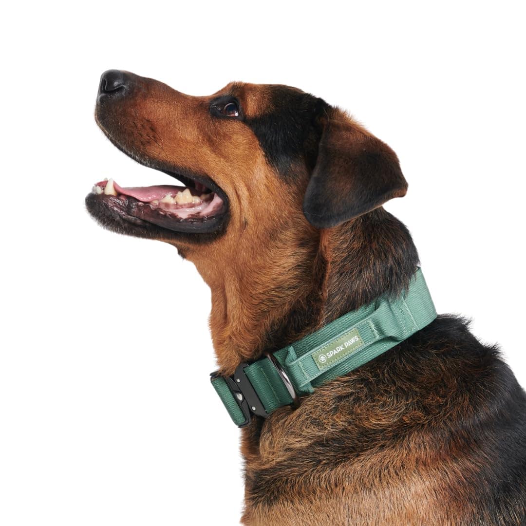 Collar táctico para perros Spark Paws - Collar de calidad - Imagen 5