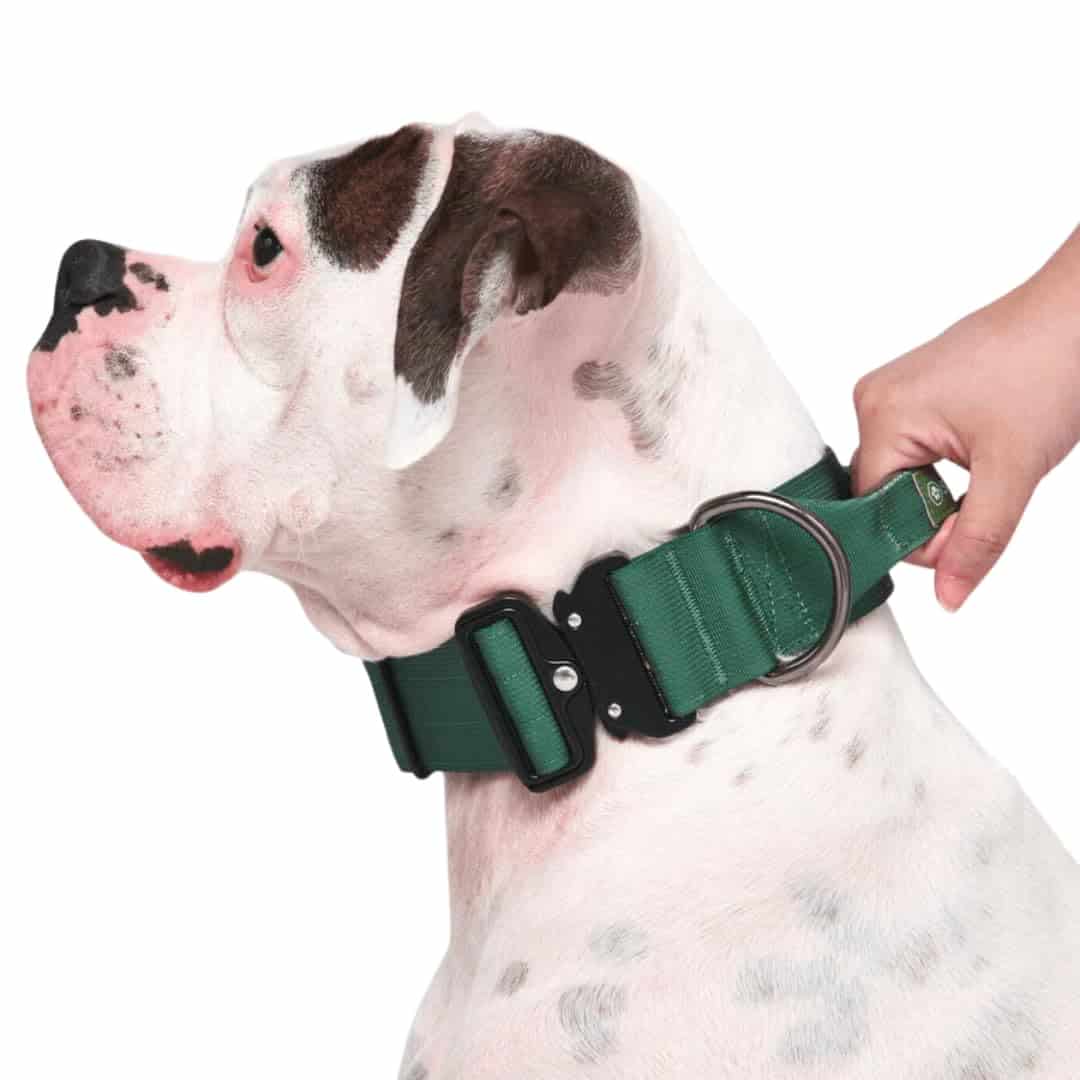 Collar táctico para perros Spark Paws - Collar de calidad - Imagen 4