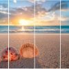 8 Paquete Paneles Acústicos Arte Conchas marinas tropical