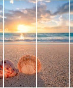 8 Paquete Paneles Acústicos Arte Conchas marinas tropical