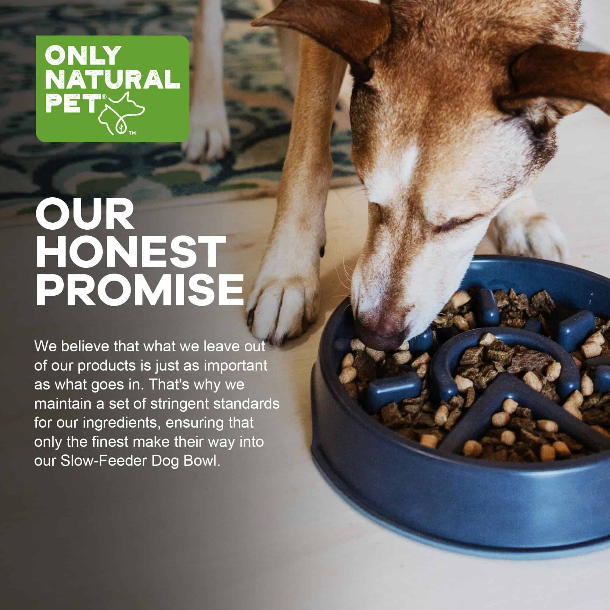 Tazón para Perros Only Natural Pet Sunup Slow-Feeder - 50% - Imagen 6