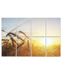 Paneles Acústicos de Arte, Hermoso paisaje de atardecer de