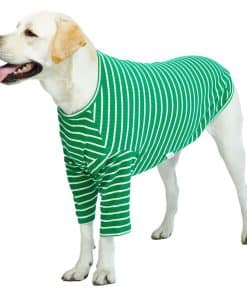 Playera a rayas Lucky Petter para Perros Grandes y