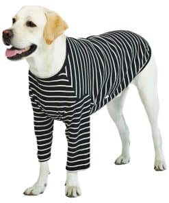 Playera a Rayas para Perros Lucky Petter para Perros