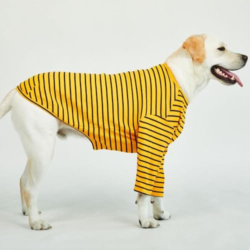 Playera a rayas Lucky Petter para perros pequeños y grandes - Imagen 3