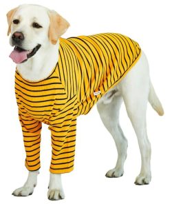 Playera a rayas Lucky Petter para perros pequeños y grandes