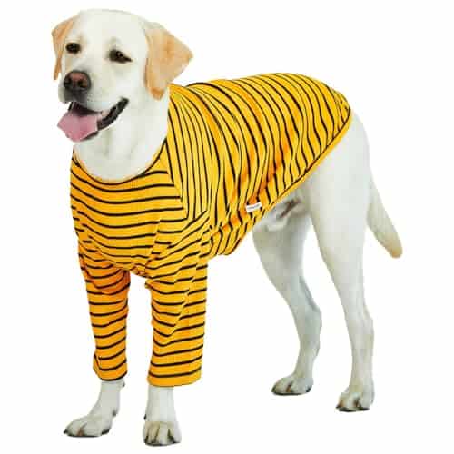 Playera a rayas Lucky Petter para perros pequeños y grandes