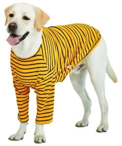 Playera para perros Lucky Petter a rayas para perros