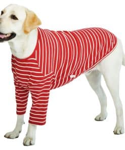 Playera a Rayas Nueva Lucky Petter para Perros Pequeños y