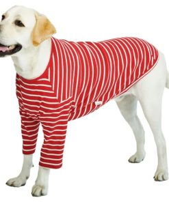 Playera a rayas Lucky Petter para perros pequeños y grandes