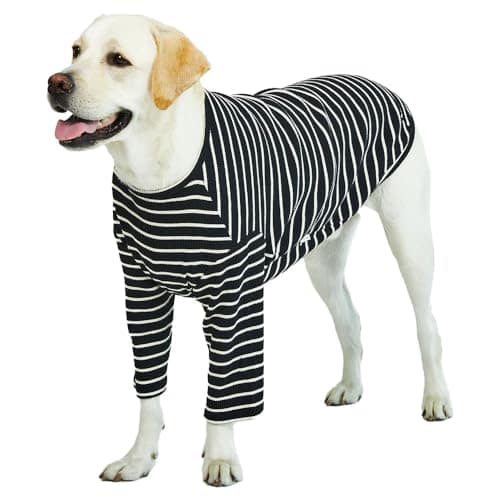 Playera a rayas Lucky Petter para perros pequeños grandes