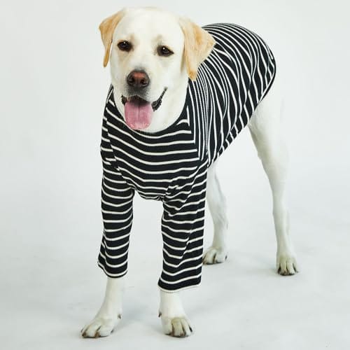 Playera a rayas Lucky Petter para perros pequeños grandes - Imagen 3