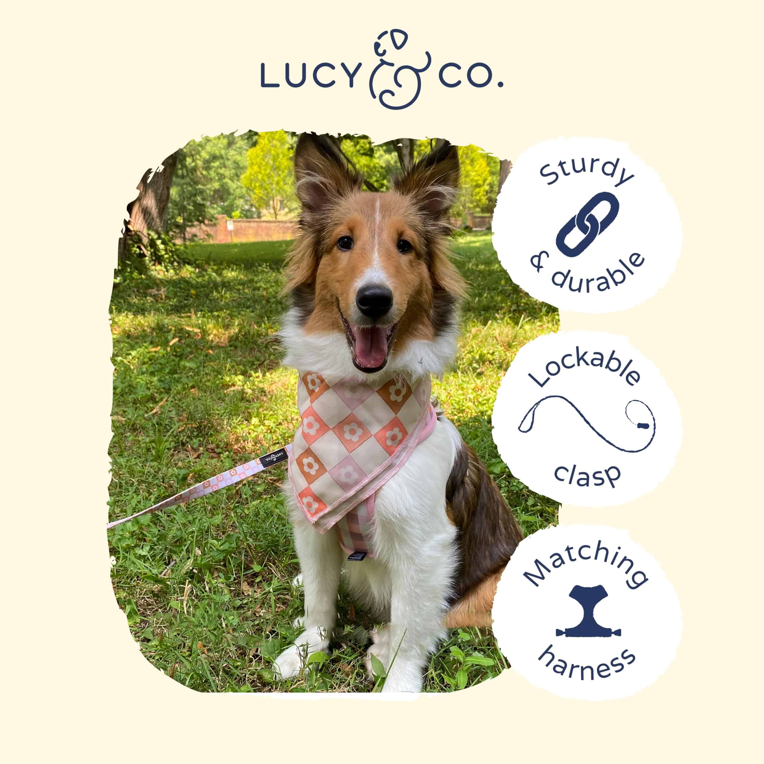Correa para Perros Lucy & Co. de 5 pies - Las Mejores - Imagen 4