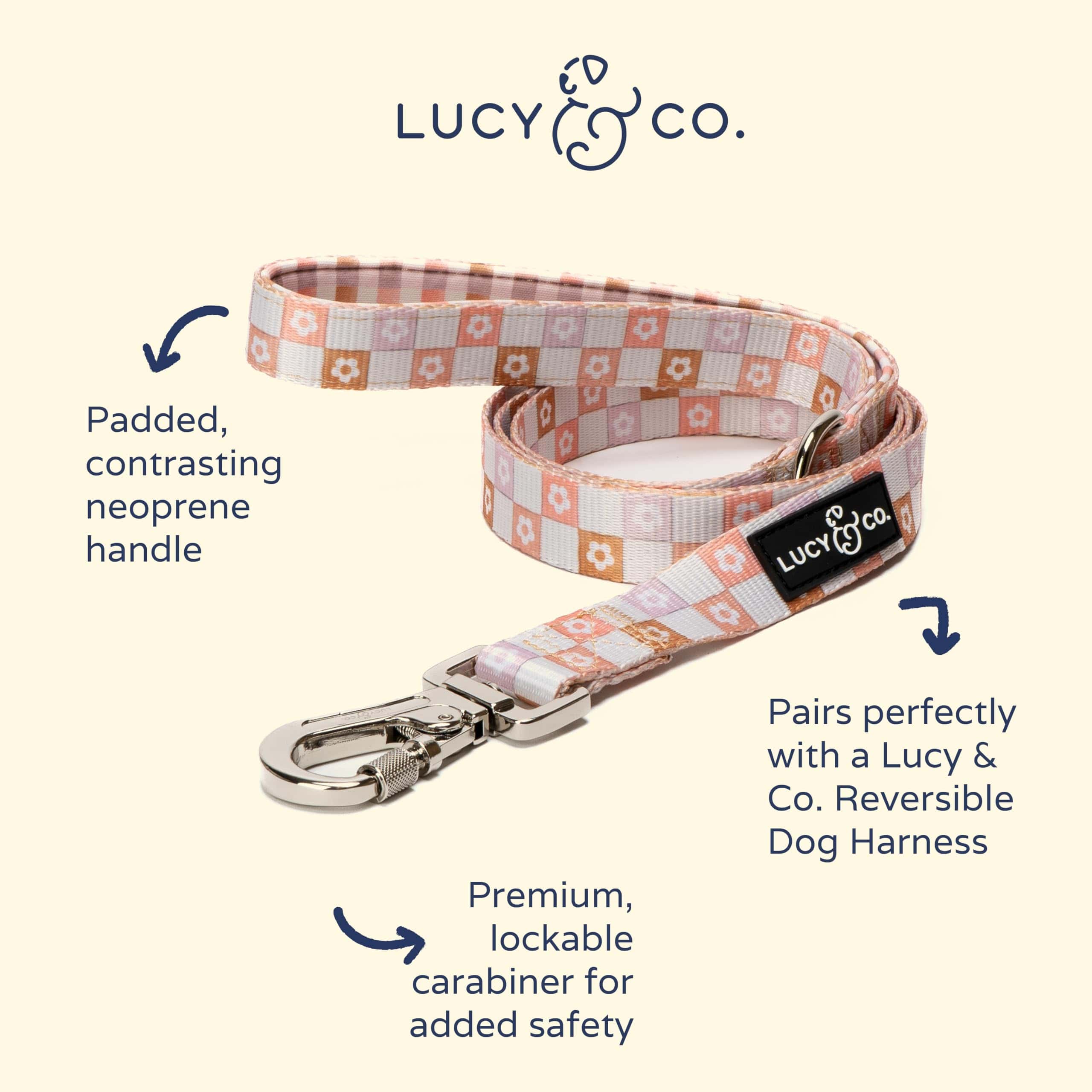 Correa para Perros Lucy & Co. de 5 pies - Las Mejores - Imagen 3