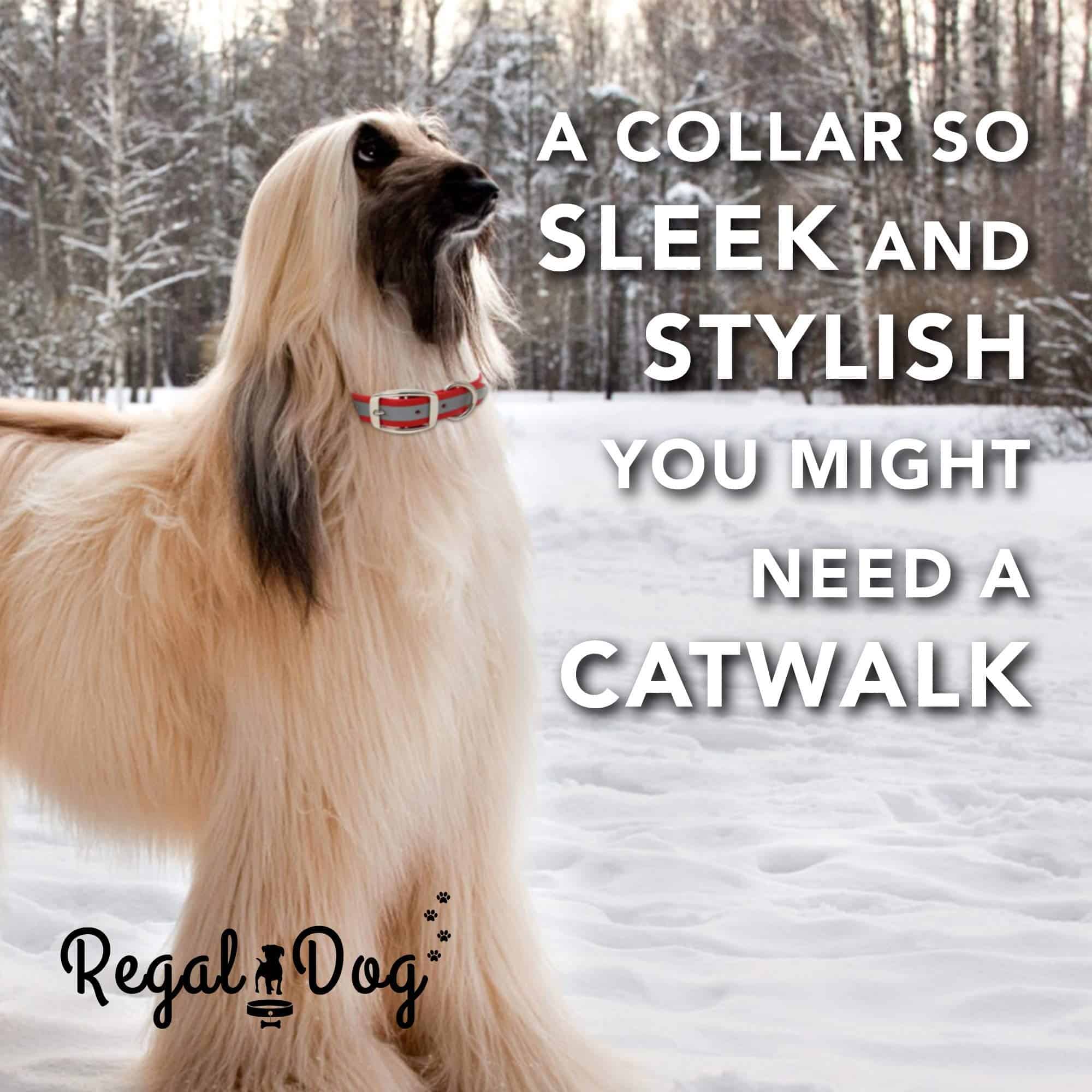 Collar para Perros Reflectante Resistente Regal Dog - Imagen 9