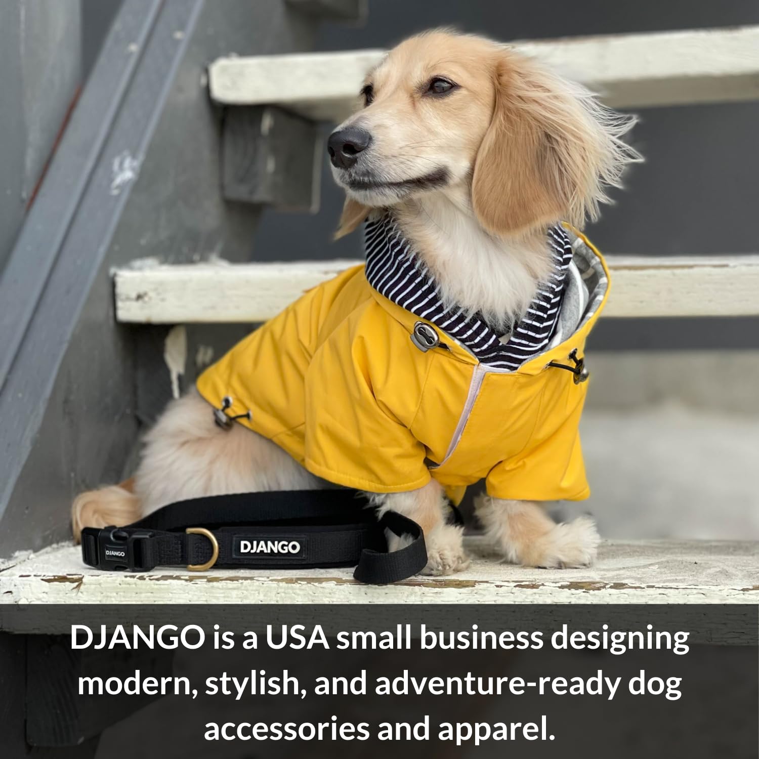 Correa de algodón para perros DJANGO | Correa de cuerda de - Imagen 7