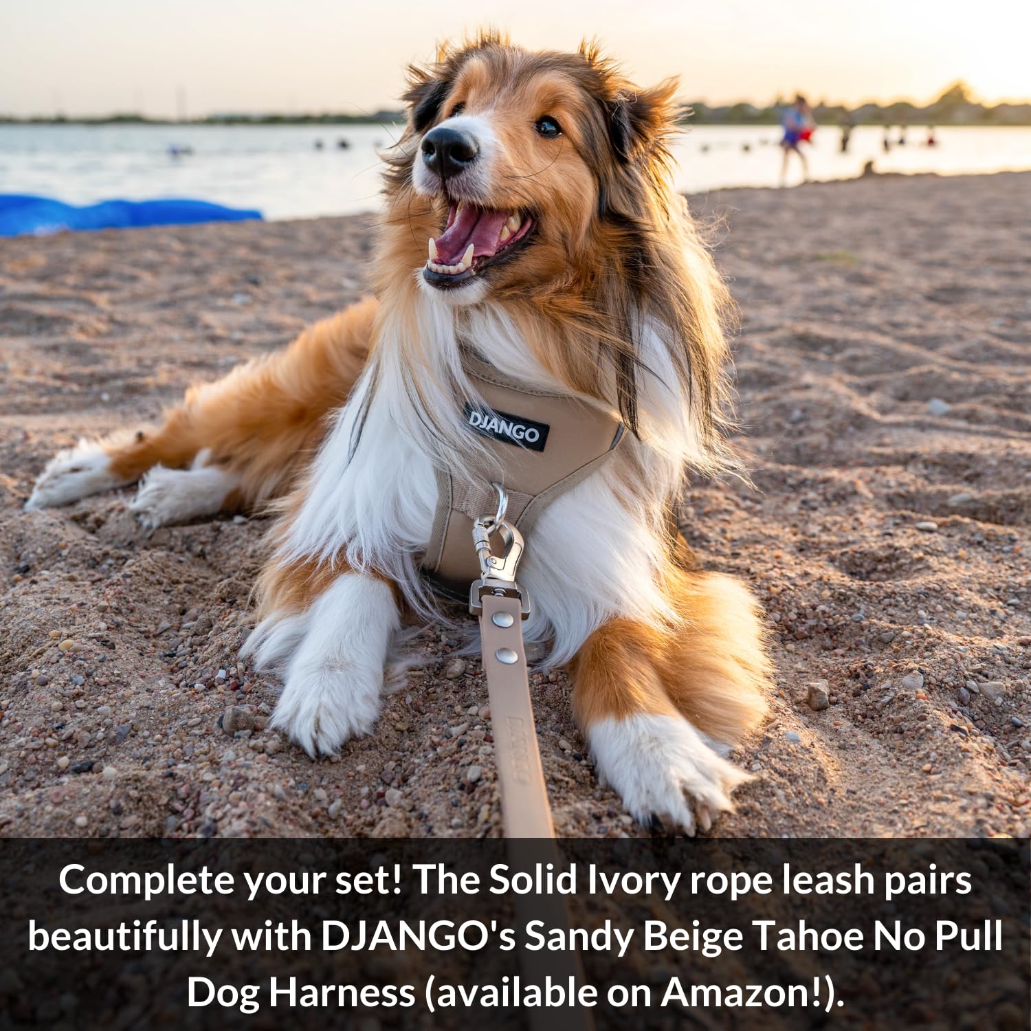 Correa de algodón para perros DJANGO | Correa de cuerda de - Imagen 6