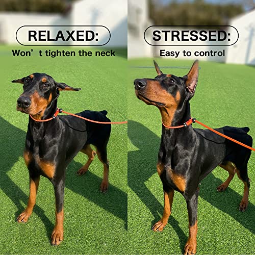 HOWGO Correa de Perro con Collar Integrado, Correa de - Imagen 3