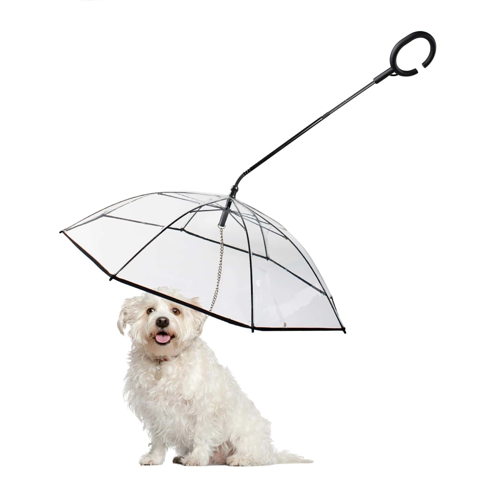 Paraguas para Perros Billionchains con Mango Ajustable