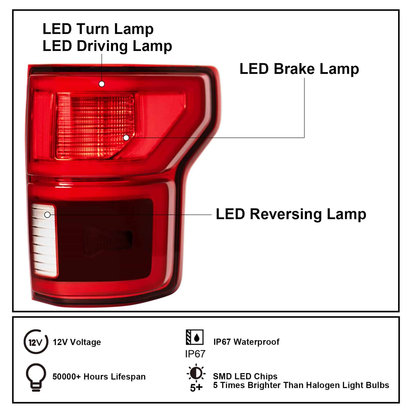 Coruilong 2018-2020 F150 Conjunto de Luces Traseras - Imagen 4