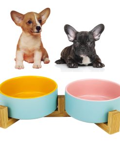 Juego de Platos para Perros y Gatos SunDog con Soporte de