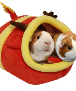 Casa y escondite para cobayas, dragones barbudos, erizos y