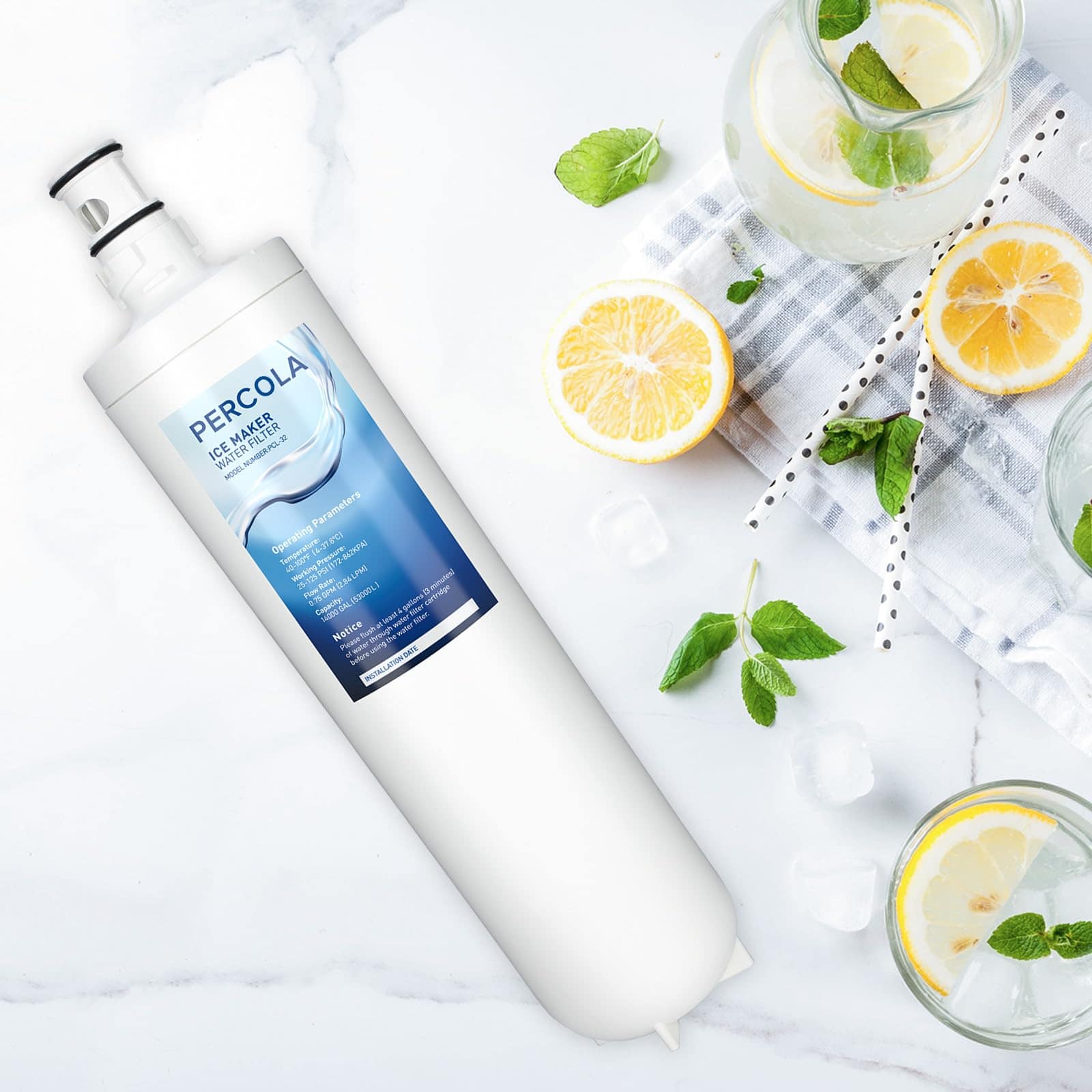 Filtro de Agua para Fabricador de Hielo Manitowoc - Imagen 8