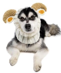 Disfraz de Perro Zoo Snoods - Gorro de Orejas sin Solapa