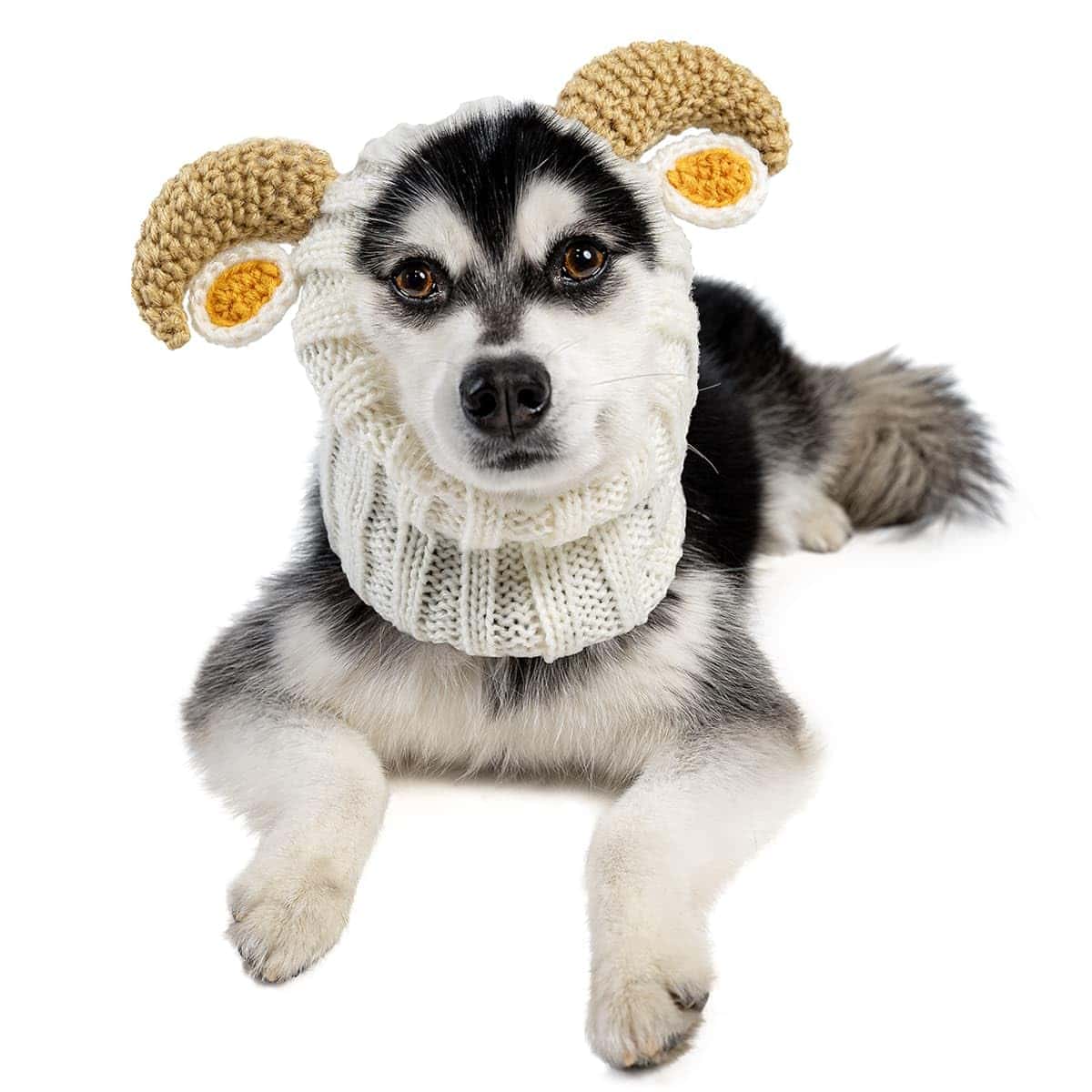 Disfraz de Perro Zoo Snoods - Gorro de Orejas sin Solapa