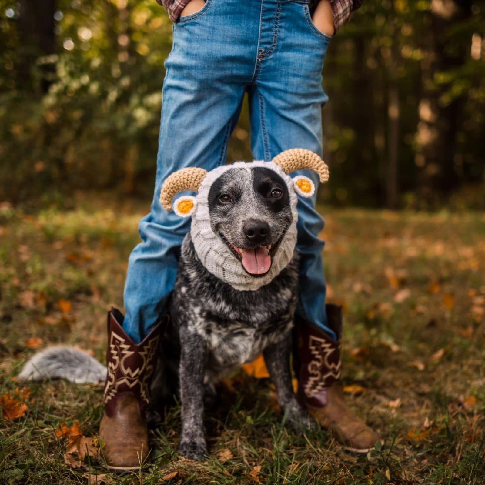 Disfraz de Perro Zoo Snoods - Gorro de Orejas sin Solapa - Imagen 9