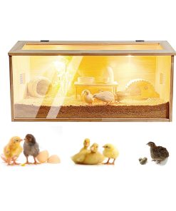 Juego de Incubadora Inteligente para Pollitos, Cría de