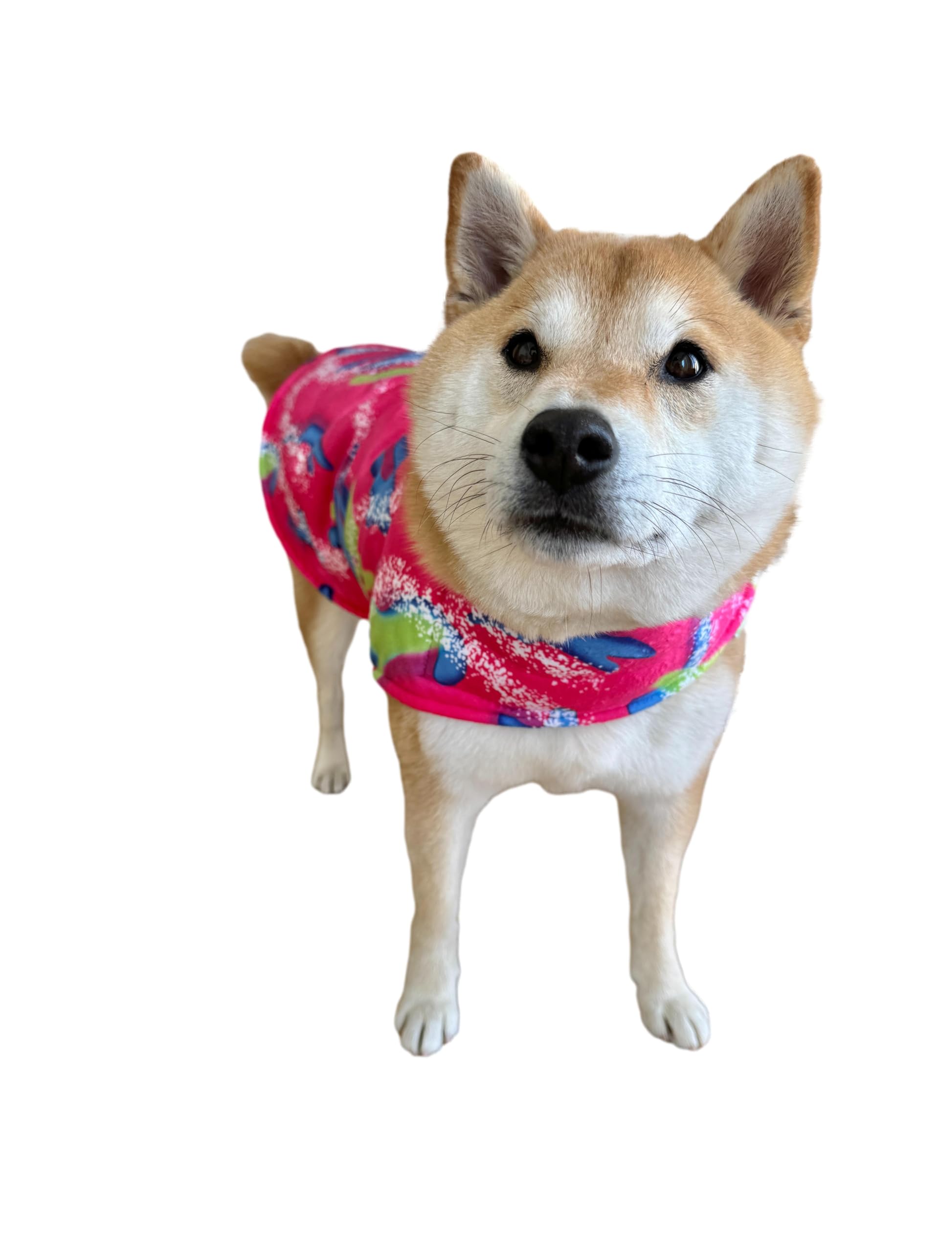 Disfraz de Perro ComfyCamper de los 80s 90s con Visera - - Imagen 6