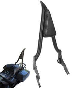 Respaldo Desmontable para Pasajeros en Negro Mate