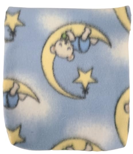 Bolsa de Transporte para Planeadores de Azúcar y otras - Imagen 3