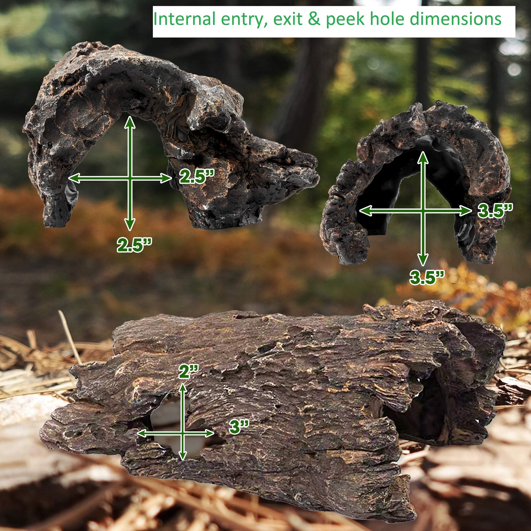 Escondite de Lagarto, Serpiente o Reptil del Valle del - Imagen 7